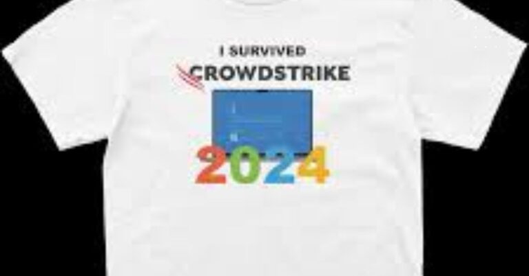 i survived crowdstrike 2024